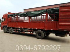 供暖常压热水锅炉