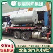 0.2吨低氮冷凝蒸汽锅炉银晨锅炉售后