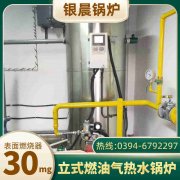 燃油燃气导热油炉厂家