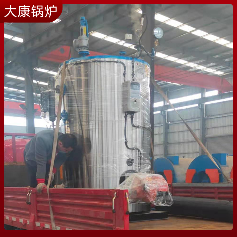 生物质小锅炉